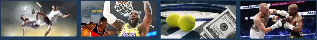 Sport